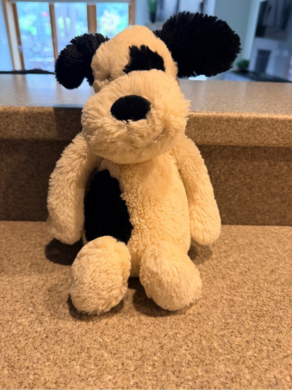 Jellycat Bashful Black + Cream Puppy